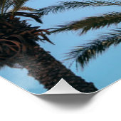 夏 ヤシの木 ポスター (コーナー)
