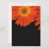 夏、秋デイジー花結婚式招待状 招待状 (裏面)