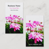 夏! /Pinkのガーベラのデイジー分野の名刺 名刺 (正面/裏面)