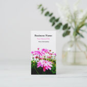 夏! /Pinkのガーベラのデイジー分野の名刺 名刺 (スタンド正面)