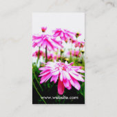 夏! /Pinkのガーベラのデイジー分野の名刺 名刺 (裏面)