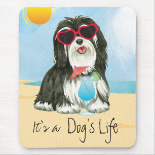 夏Havanese マウスパッド