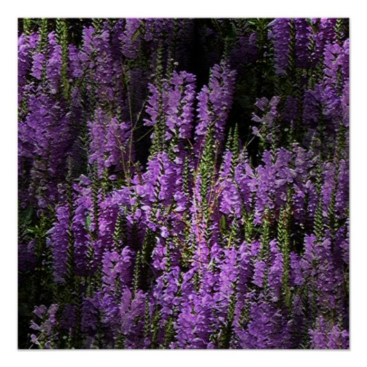 夕べから朝… ポスター (正面)