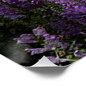 夕べから朝… ポスター (コーナー)