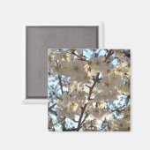 夕べさくらんぼの花I春フローラ マグネット (正面/裏面)