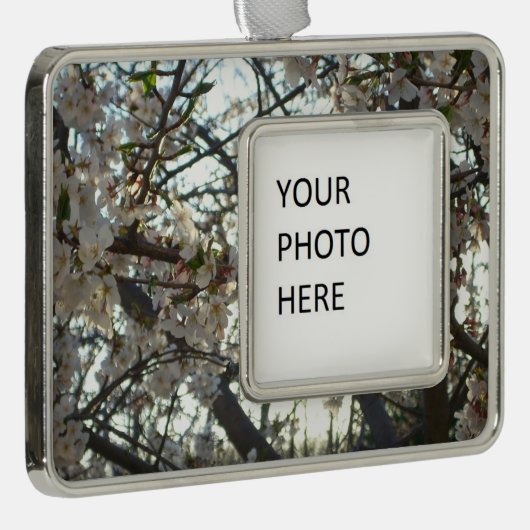 夕べさくらんぼフラムスII春サンセット シルバープレートフレームオーナメント (右)