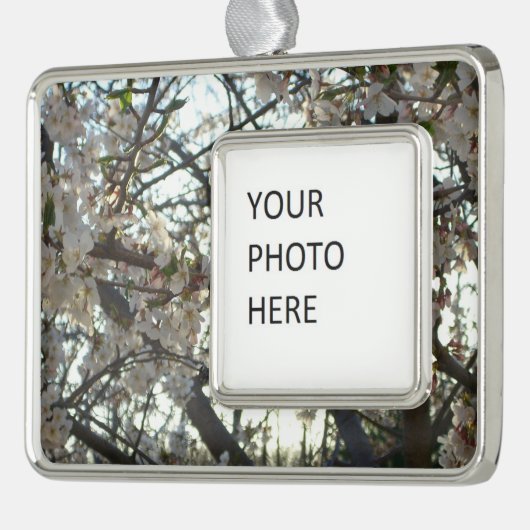 夕べさくらんぼフラムスII春サンセット シルバープレートフレームオーナメント (左)