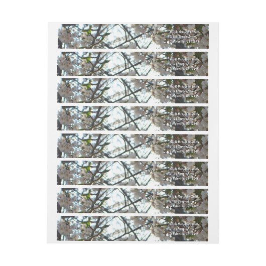 夕べさくらんぼフラムスII春サンセット ラップアラウンドラベル (シート)