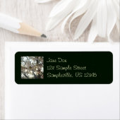 夕べさくらんぼフラムスII春サンセット ラベル (インサイチュ)