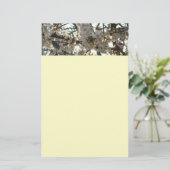 夕べさくらんぼフラムスII春サンセット 便箋 (スタンド正面)