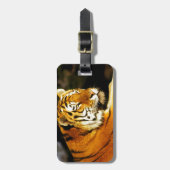 夕べのシベリアトラ ラゲッジタグ (正面縦)