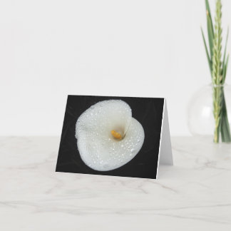 夕べのシャワーNoteCardの後のCallaLily カード
