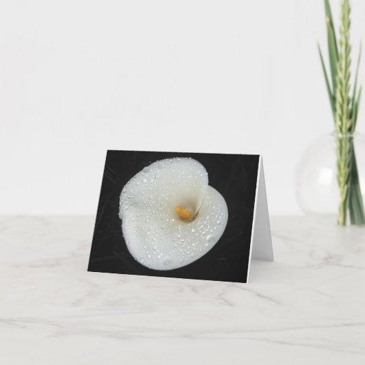 夕べのシャワーNoteCardの後のCallaLily カード (正面)