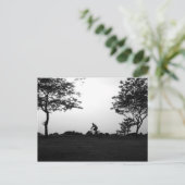 夕べのバイクの乗車 ポストカード (スタンド正面)