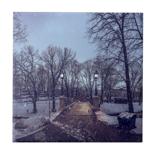 夕べの冬の雪の市公園 タイル (正面)