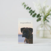 夕べの空の名刺のボクサーの子犬 名刺 (スタンド正面)
