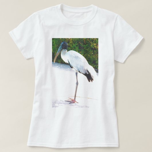 夕べの衣服のアメリカトキコウ Tシャツ (デザイン正面)
