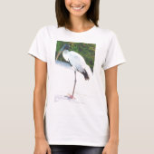 夕べの衣服のアメリカトキコウ Tシャツ (正面)