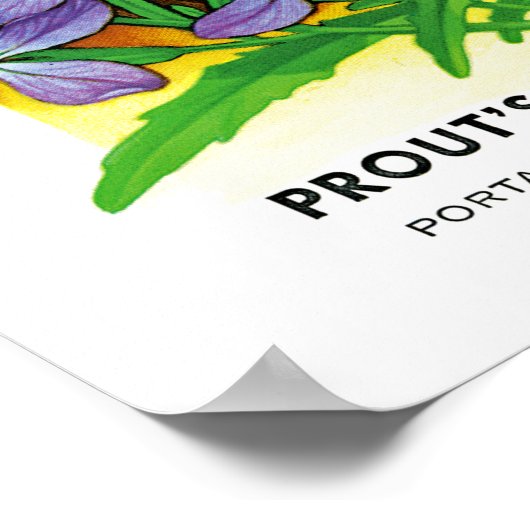 夕べの香り付き在庫シードパケットラベル ポスター (角)