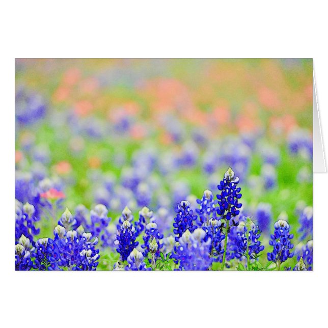 夕べのBluebonnets (正面横)