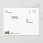 夕べアットチャールストンハーバー ポストカード (裏面)