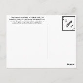 夕べグロスベーク ポストカード (裏面)