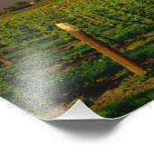 夕べサンはワシントンのスカギットの納屋にある フォトプリント            (角)