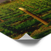 夕べサンはワシントンのスカギットの納屋にある ポスター (角)