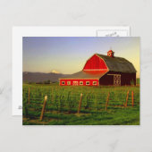 夕べサンはワシントンのスカギットの納屋にある ポストカード (正面/裏面)