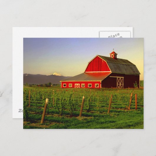 夕べサンはワシントンのスカギットの納屋にある ポストカード (正面/裏面)