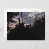 夕べシルエット ポストカード (正面/裏面)