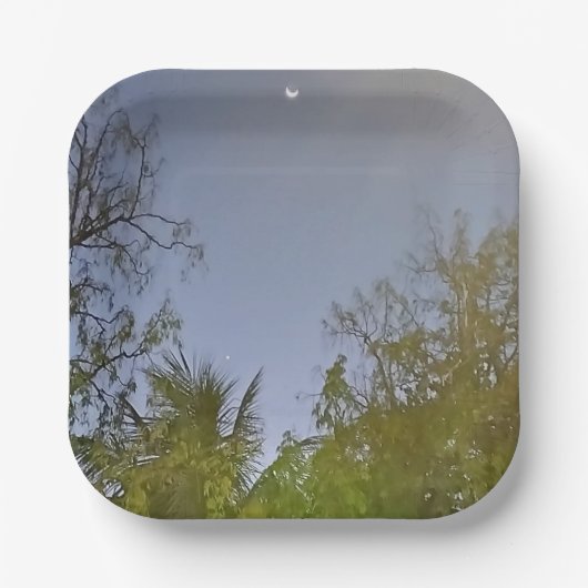 夕べスカイクレセントムーンフォト ペーパープレート (正面)