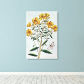 夕べプリムローズ、プレート73「コレクション貴重」 キャンバスプリント (インサイチュ (ウッドフロア))