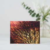 夕べライトノテ空白のカード ポストカード (スタンド正面)