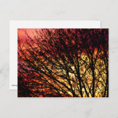 夕べライトノテ空白のカード ポストカード (正面/裏面)