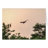 夕べ到着 (正面横)