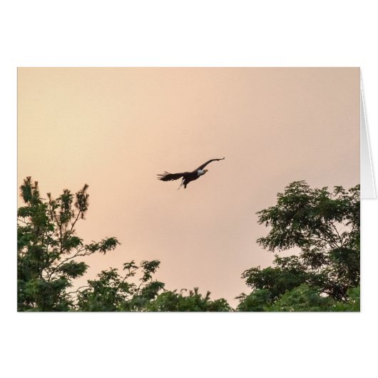 夕べ到着 (正面横)