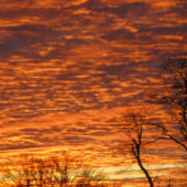 夕べ夢 ノートブック