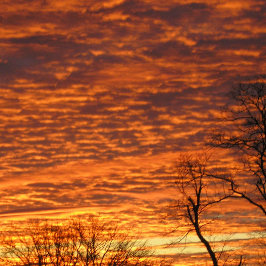 夕べ夢 ノートブック