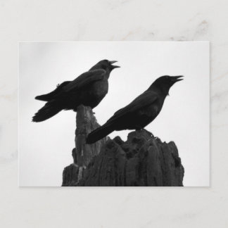 夕べ通話 ポストカード