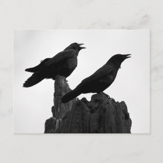 夕べ通話 ポストカード (正面)