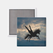 夕べ飛行磁石 マグネット (正面/裏面)