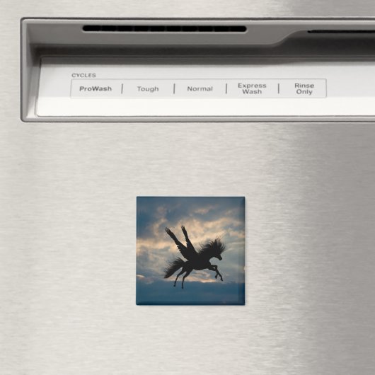 夕べ飛行磁石 マグネット (インサイチュ (食洗機))