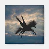 夕べ飛行磁石 マグネット (正面)