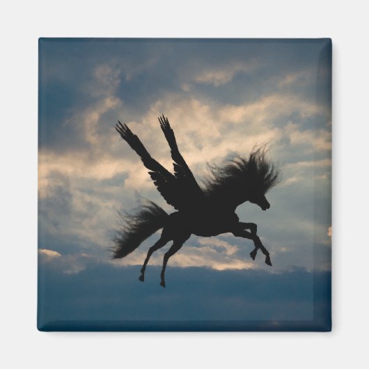 夕べ飛行磁石 マグネット (正面)