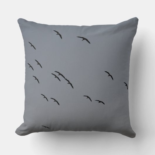 夕べ飛行 クッション (正面)