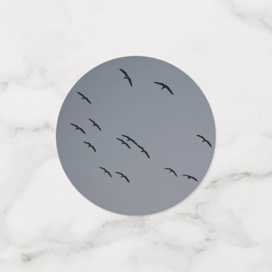 夕べ飛行 コンフェッティ (スモール正面)