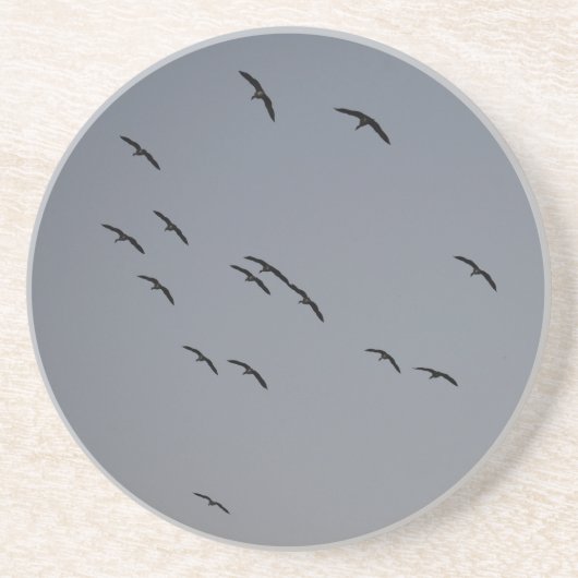 夕べ飛行 コースター (正面)