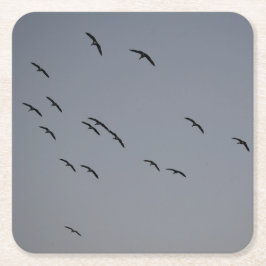 夕べ飛行 スクエアペーパーコースター