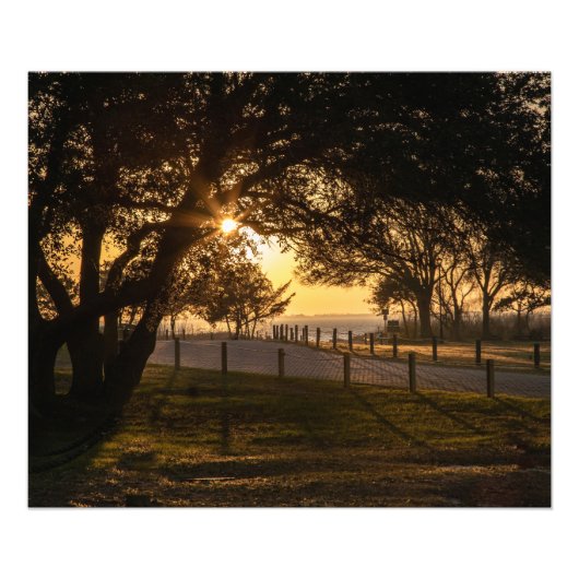 夕べ フォトプリント            (正面)